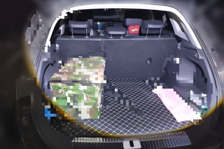 Used Hongqi HS5 2023 2.0T Qixiang Pro Edition