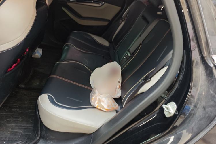 Used BYD Qin PLUS 2023 Champion Edition DM-i 120KM Leading Model
