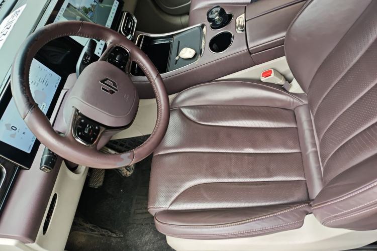 Used Leapmotor C11 2021 Zhixing Edition 510