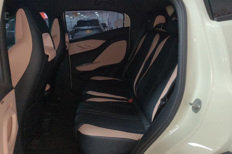 Used BYD Seagull 2023 Active Version Left Rear Seat