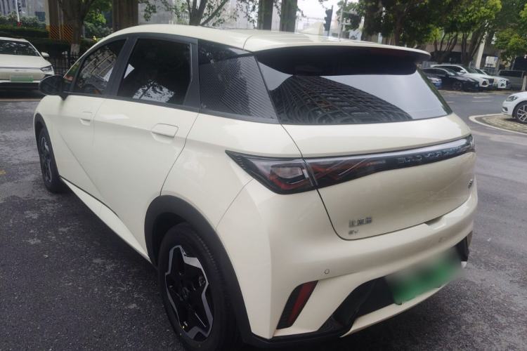 Used BYD Dolphin 2021 405 km Fashion Edition Rear Left 45 Deg