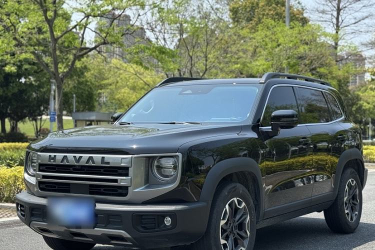 Used Haval DARGO 2024 2.0T DCT Chinese Rural Dog Edition