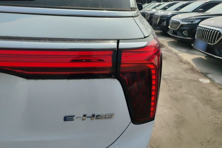 Used Hongqi E-HS9 2022 660 km Range Flagway Edition Six Seats
