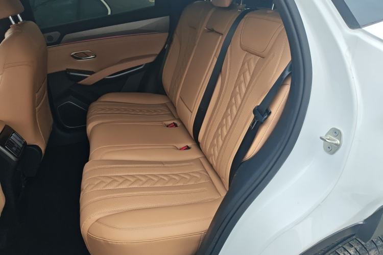 Used BYD Song L DM-i 2024 160km Beyond Edition Left Rear Seat