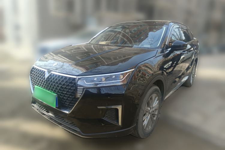 Used Venucia Star 2020 260T Automatic XingShang Edition