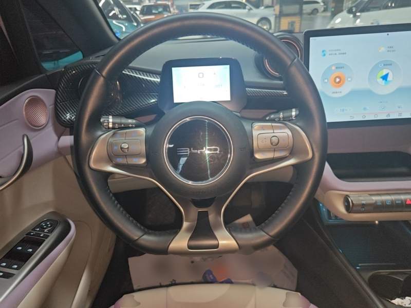 Used BYD Dolphin 2021 405 km Fashion Edition — 10