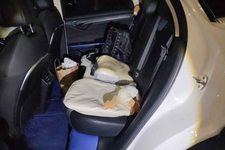 Used VOYAH FREE 2021 Two-Wheel Drive Standard Pure Electric Version Left Rear Seat