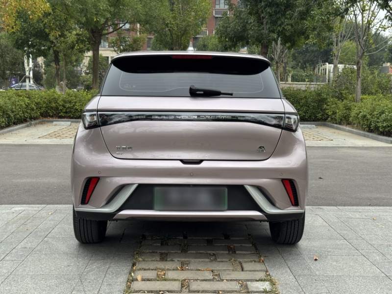 Used BYD Dolphin 2023 420 km Free Version — 16