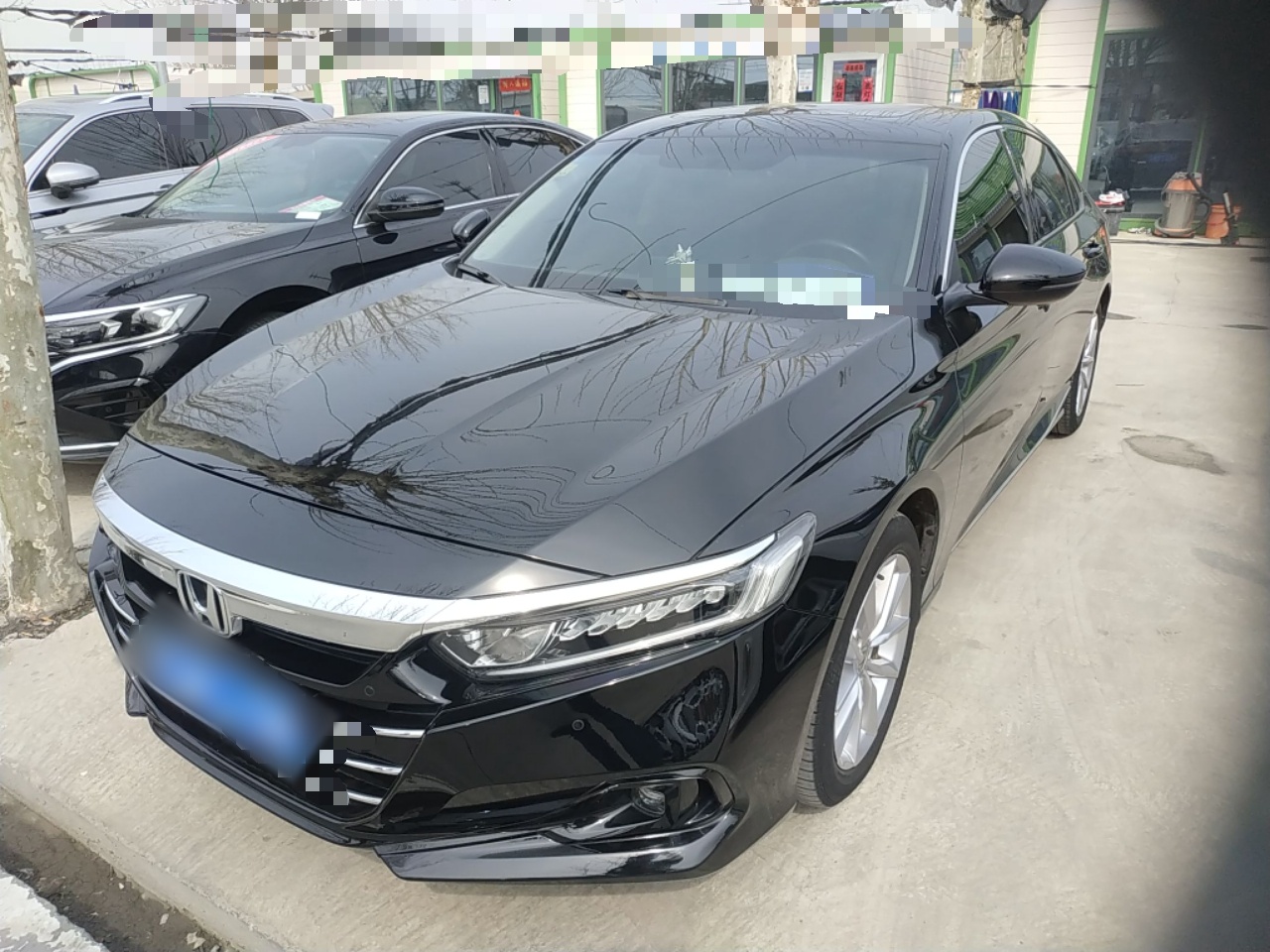 Parte inferior delantera