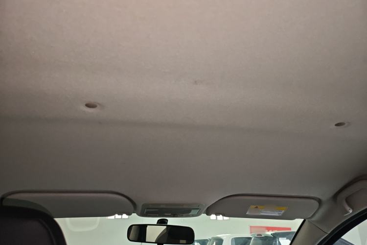 Used SOL E10X 2022 Flower Fairy Style Baby's Breath