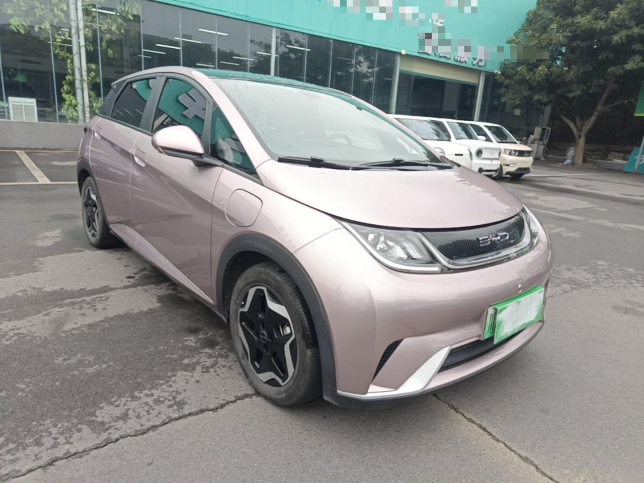 BYD Dolphin 2021 405 km Fashion Edition — снимка 3