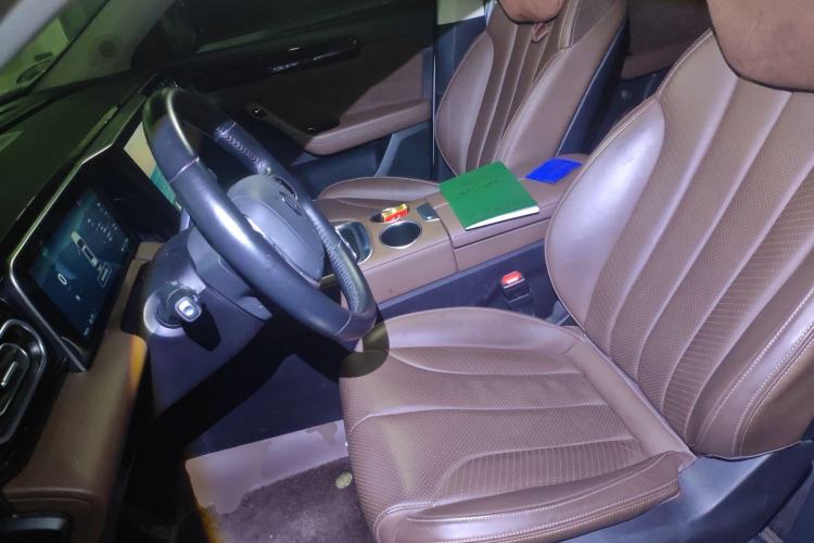 Used Leapmotor C11 2023 Pure Electric 500 Comfort Edition Left Front Seat