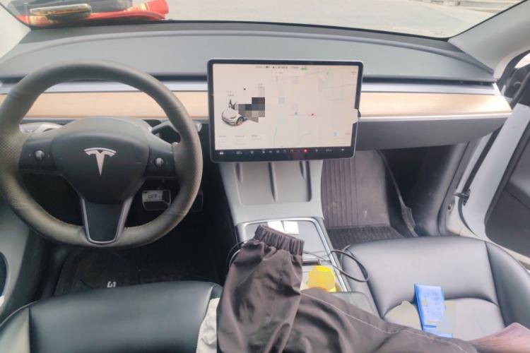 Used Tesla Model Y 2021 Standard Range Rear-Wheel Drive Version
