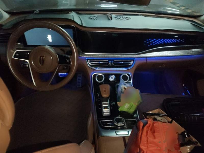 Used Hongqi H9 2020 2.0T Smart Connect Flagship Edition – Chinese Trim Chang — 10