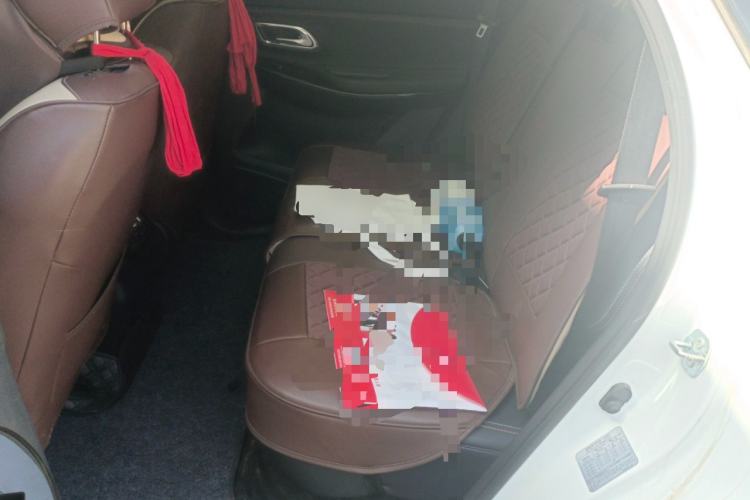 Used CHANGAN OSHAN X7 2020 1.5T Automatic Luxury Version Left Rear Seat