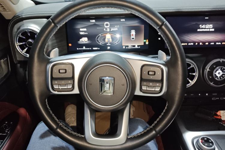 Used Tank 300 2024 2.0T Conqueror