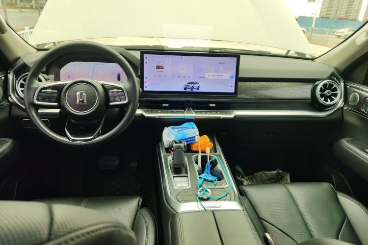 Used Tank 400 New Energy 2023 Hi4-T Super Edition
