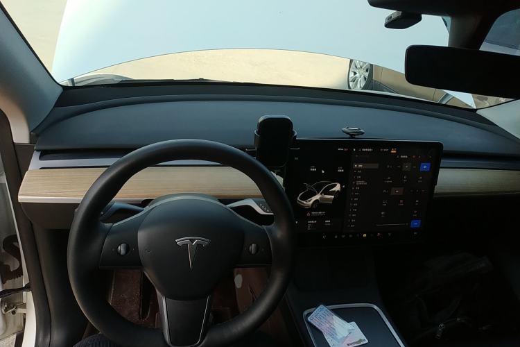 Used Tesla Model Y 2021 Standard Range Rear-Wheel Drive Version
