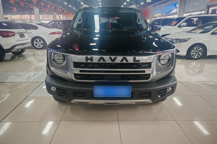 Used Haval DARGO 2024 2.0T DCT Chinese Rural Dog Edition Exterior 1