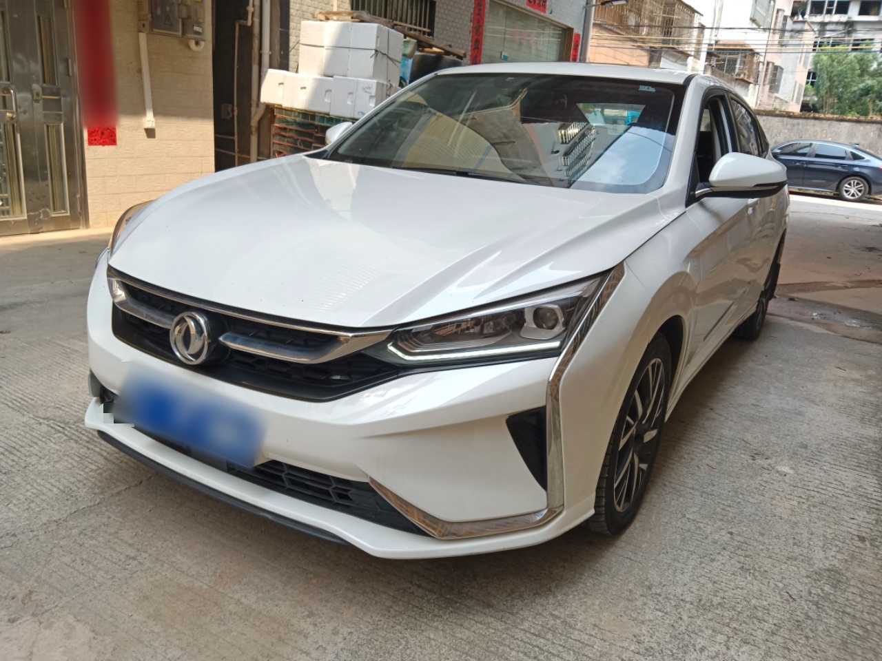 Parte inferior delantera