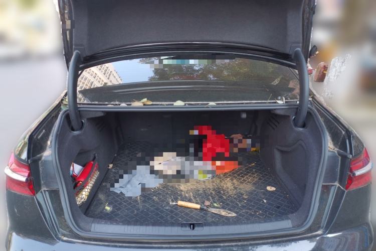 Used Audi A6L 2023 Revised 45 TFSI Prestige Dynamic Edition
