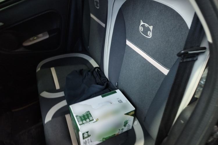 Used ORA Black Cat 2022 405 km Long-Range Version Ternary Lithium
