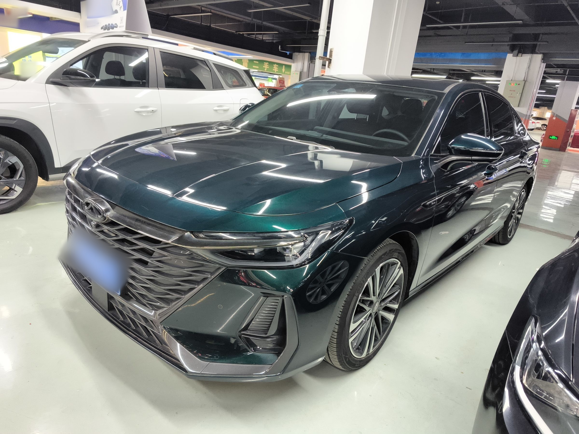 تحت مقدمة السيارة