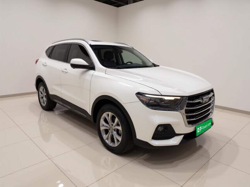 Used Haval H6 2021 National Trend Edition 1.5T Automatic Champion Version — 3
