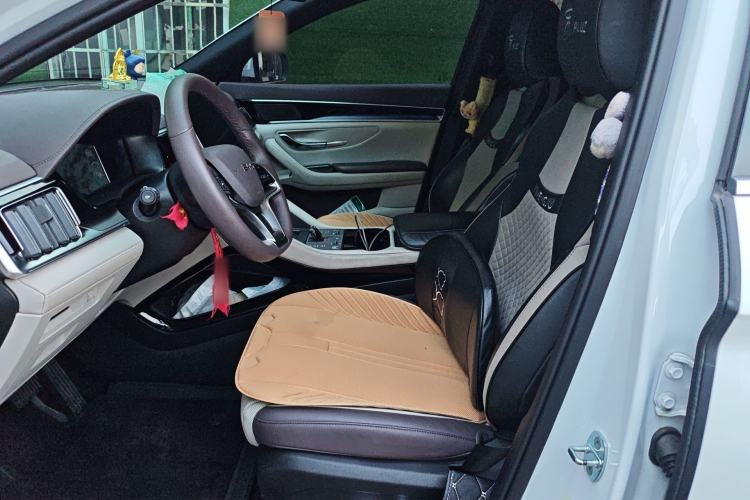 Used BYD Song PLUS New Energy 2025 DM-i 112KM Prestige Model Left Front Seat