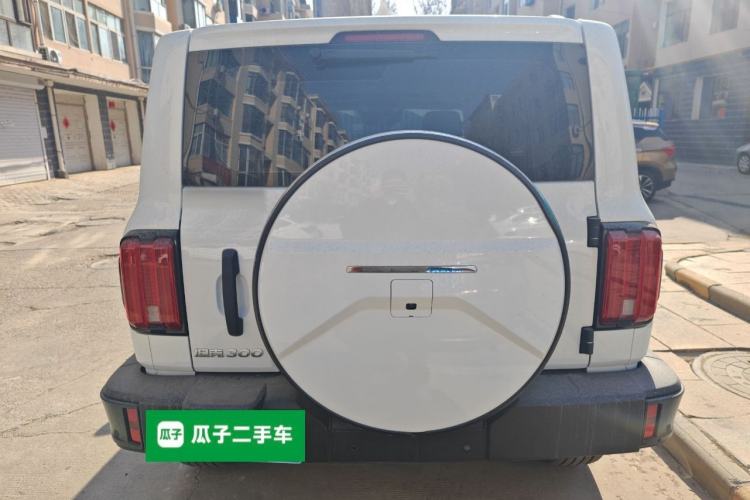 Used Tank 300 2025 2.0T Conqueror
