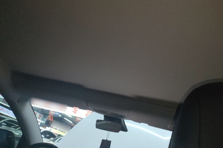 Used Tesla Model 3 2022 Rear-Wheel-Drive Version Headliner