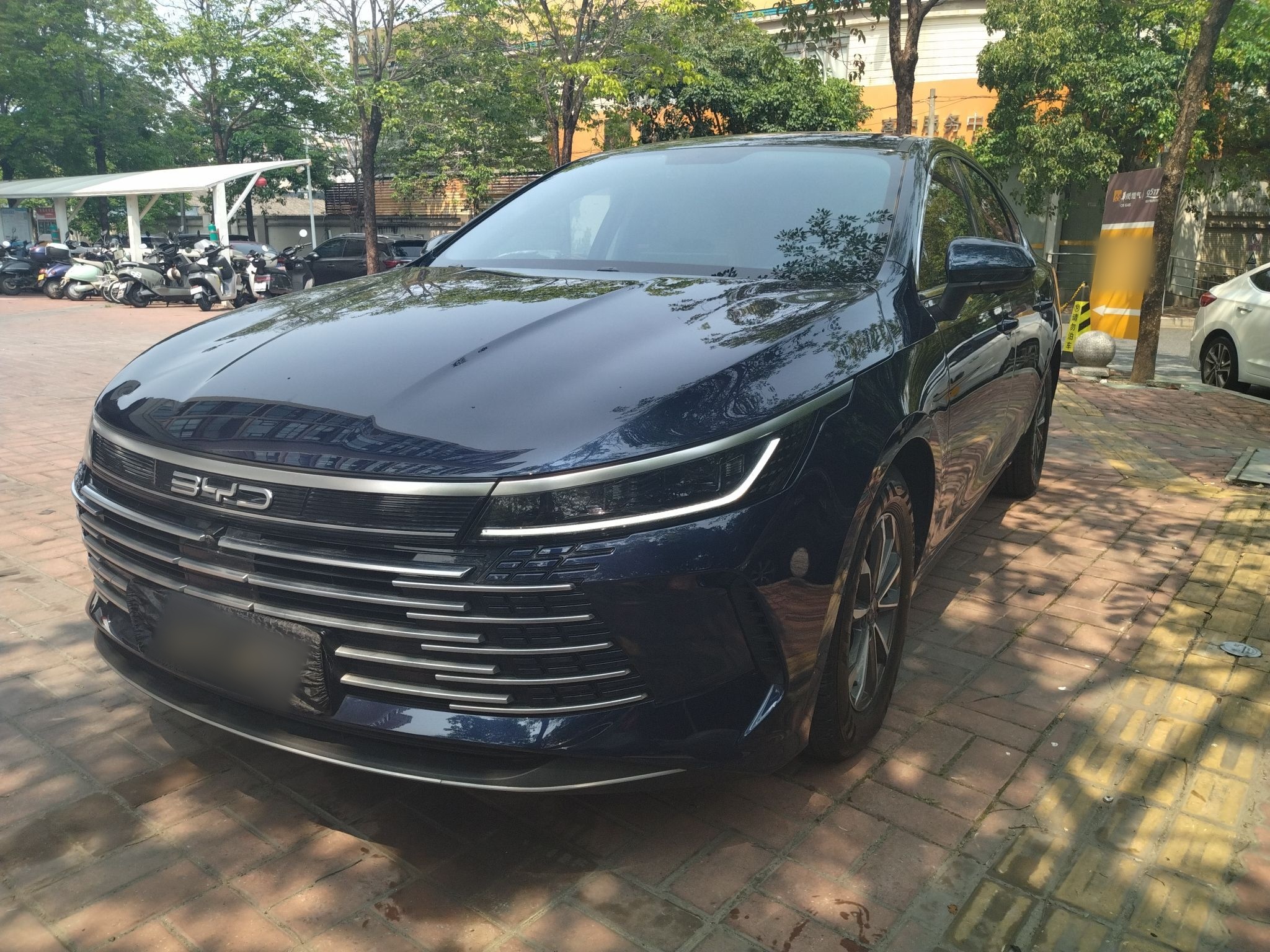 تحت مقدمة السيارة