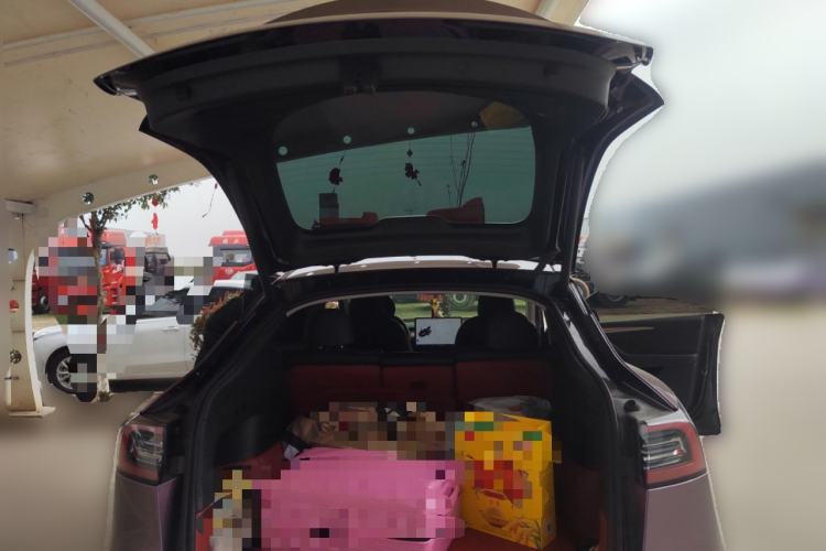 Used Tesla Model Y 2021 Standard Range Rear-Wheel Drive Version