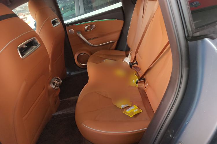 Used ORA Lightning Cat 2022 555 km Luxury Edition
