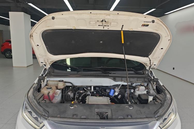 Used BYD Yuan Pro 2021 "Love for a Lifetime" Edition