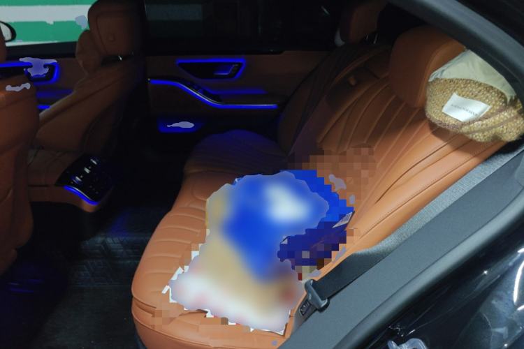 Used Mercedes-Benz S-Class 2025 S 400 L Business Model
