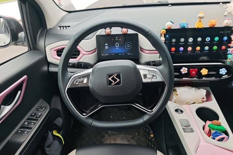 Used SOL E10X 2022 Flower Fairy Style Baby's Breath