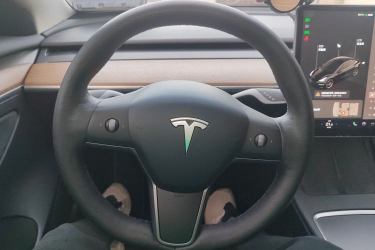 Used Tesla Model 3 2021 Performance High-Performance All-Wheel-Drive Version