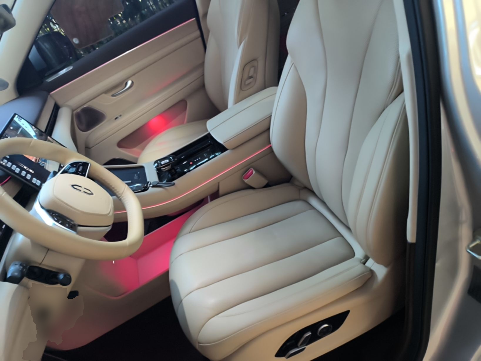 Interior delantero