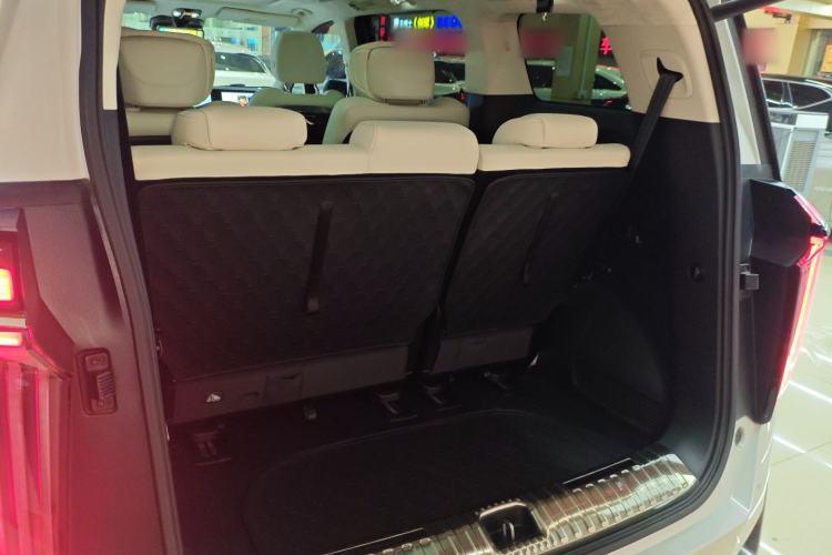 Used GAC Trumpchi E9 2023 E9 Master Model Trunk