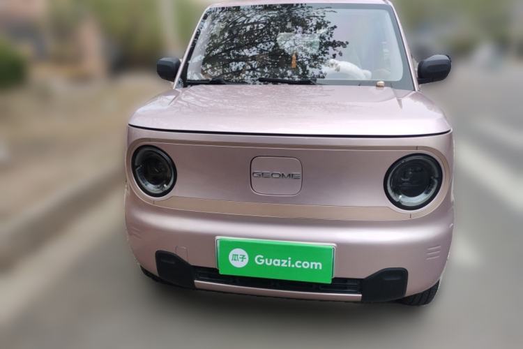Used Geely Galaxy Panda 2024 Panda Mini 200km Endurance Bear Front