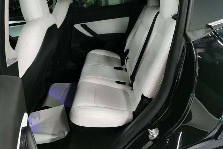 Used Tesla Model Y 2021 Standard Range Rear-Wheel Drive Version
