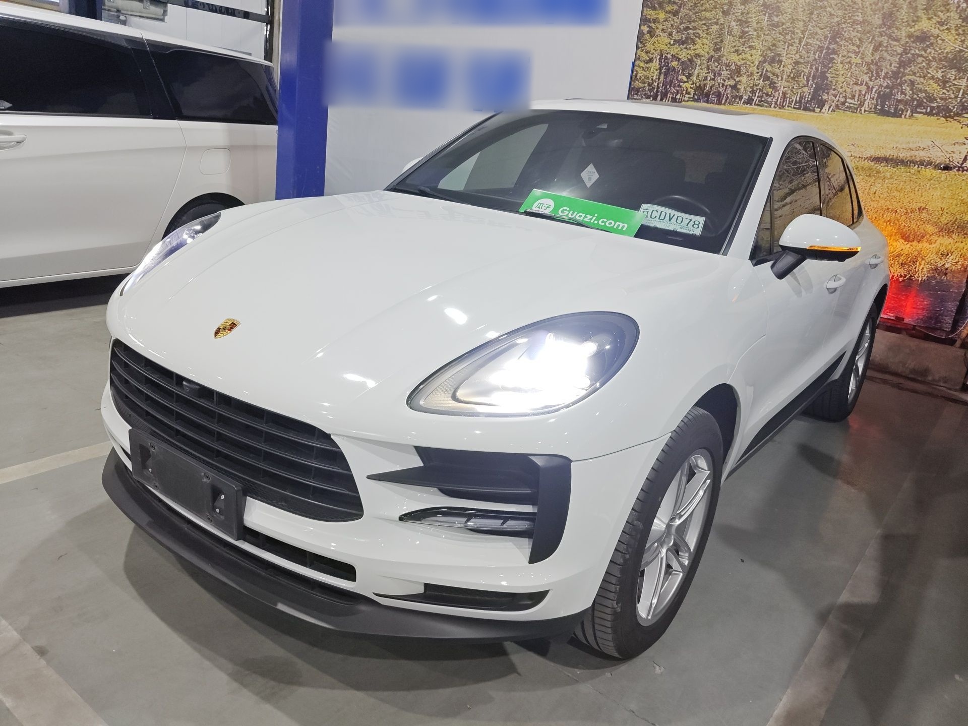 Parte inferior delantera