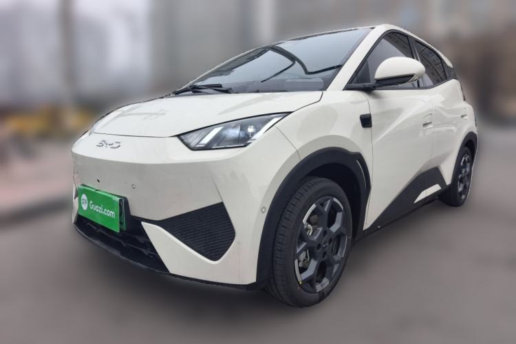 Used BYD Seagull 2025 Smart Drive Version 305 km Freedom Edition