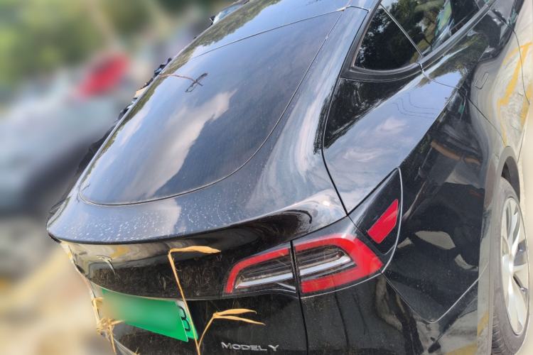 Used Tesla Model Y 2022 Rear-Wheel-Drive Version
