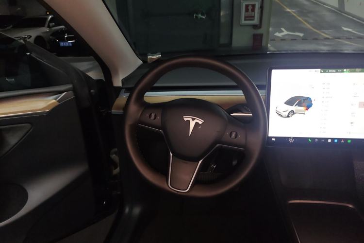 Used Tesla Model Y 2021 Standard Range Rear-Wheel Drive Version
