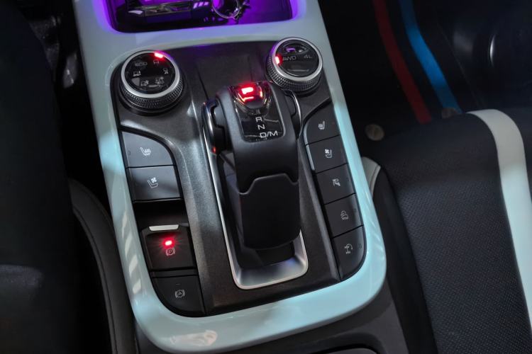 Used Tank 300 2021 City Edition 2.0T—Truly Stylish Gear Lever