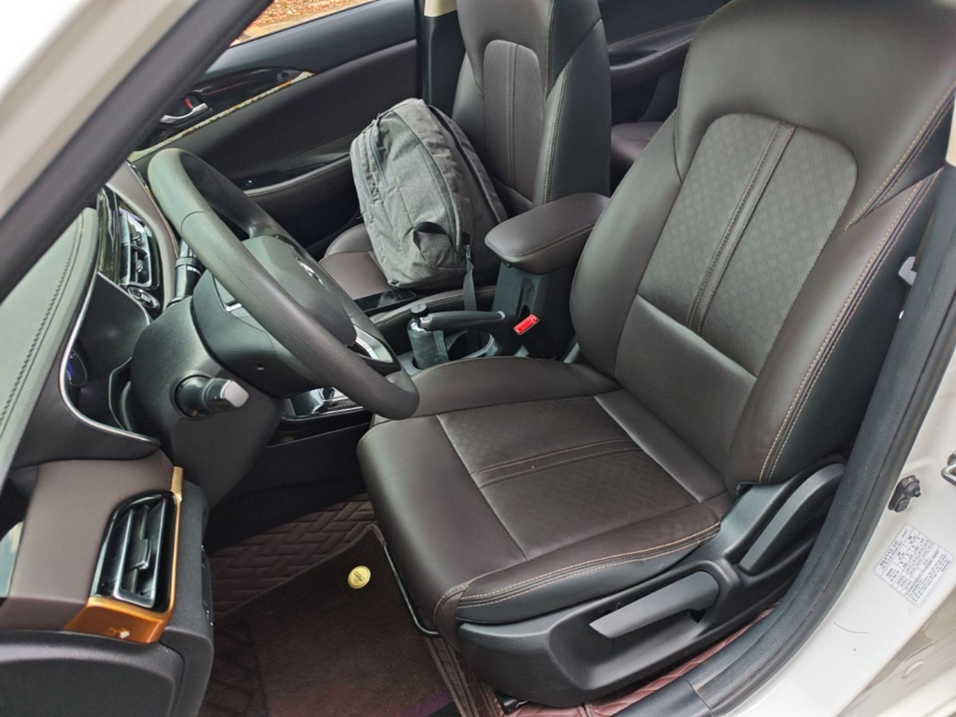 Interior delantero