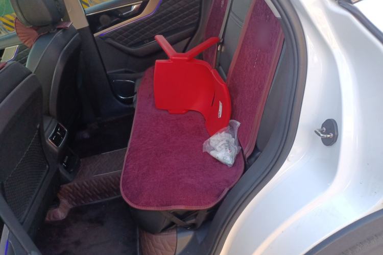 Used Hongqi HS5 2019 2.0T Smart Connect Flagship Edition