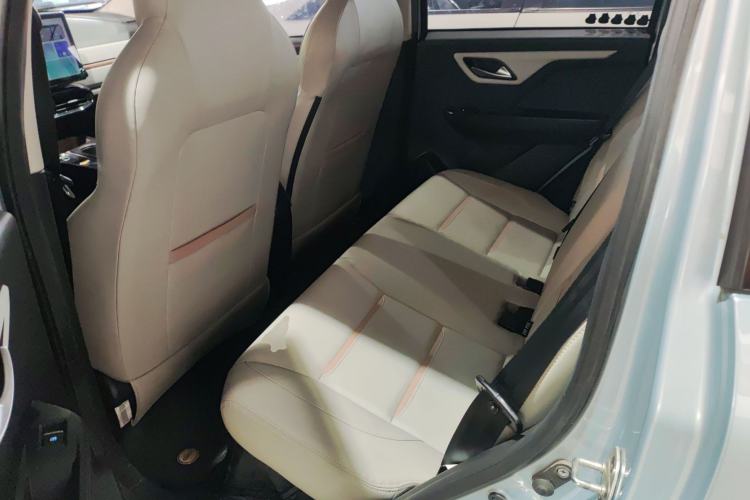 Used SOL E10X 2022 Flower Fairy Style Baby's Breath